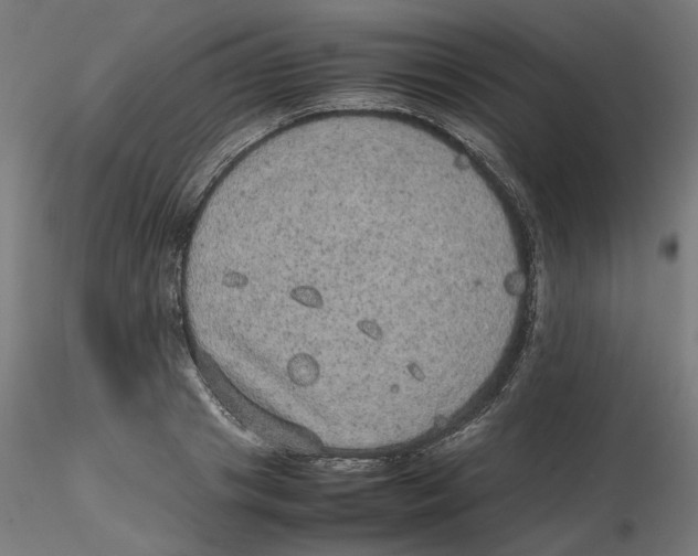 X0000116100841200912211610