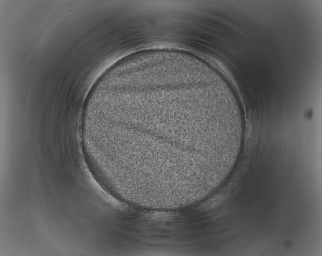 X0000116100847200912211610