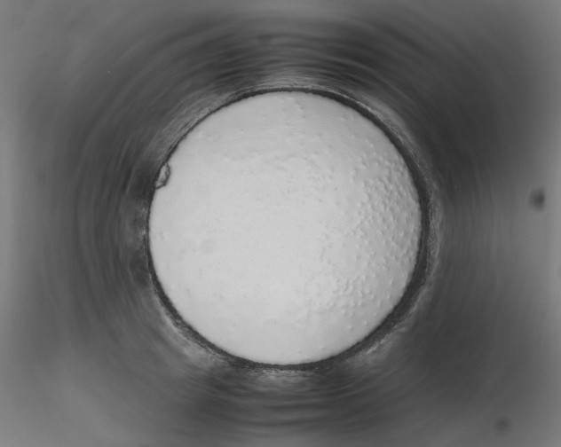 X0000116100849200912211610