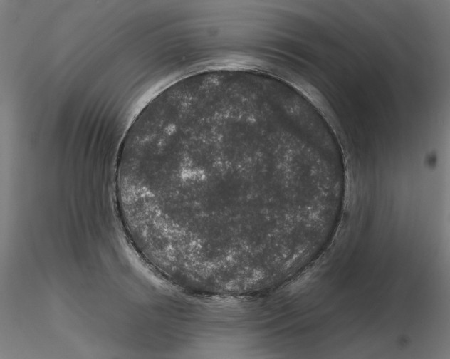 X0000116100850200912211610