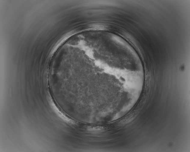 X0000116100851200912211610