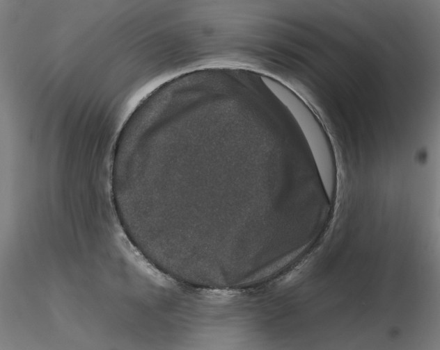 X0000116100854200912211610