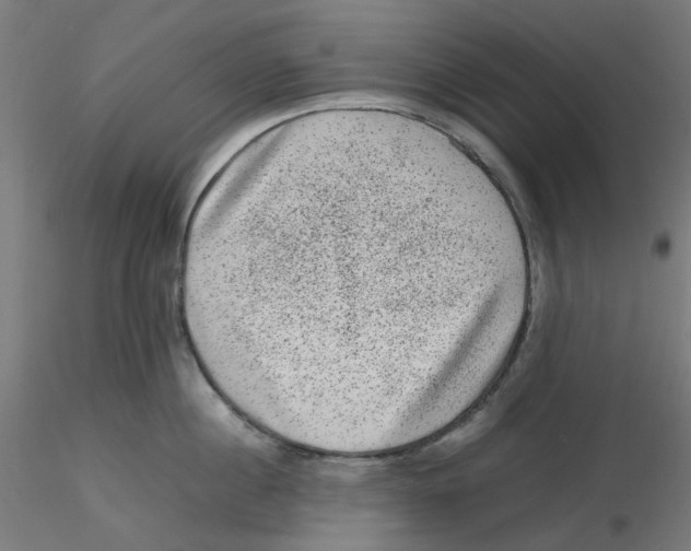 X0000116100860200912211610