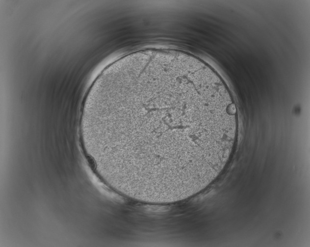 X0000116100861200912211610