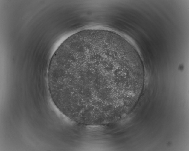 X0000116100863200912211610