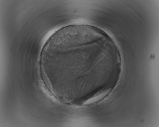 X0000116100864200912211610