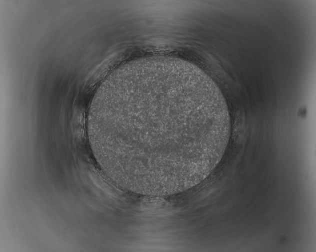 X0000116100866200912211609