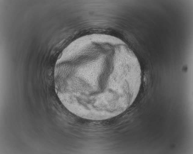 X0000116100867200912211609