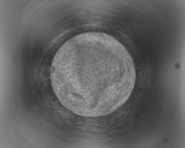 X0000116100870200912211609