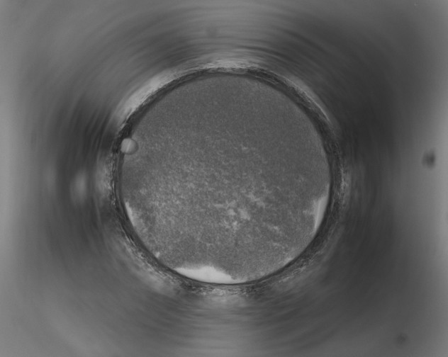 X0000116100874200912211609