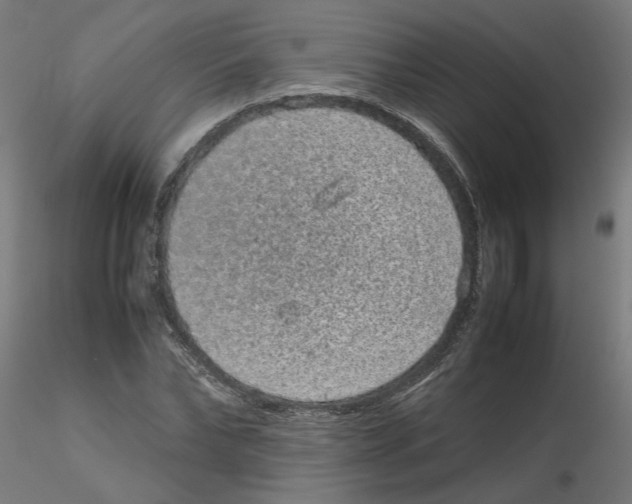 X0000116100878200912211609