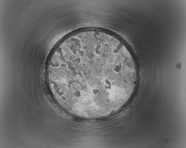 X0000116100879200912211609