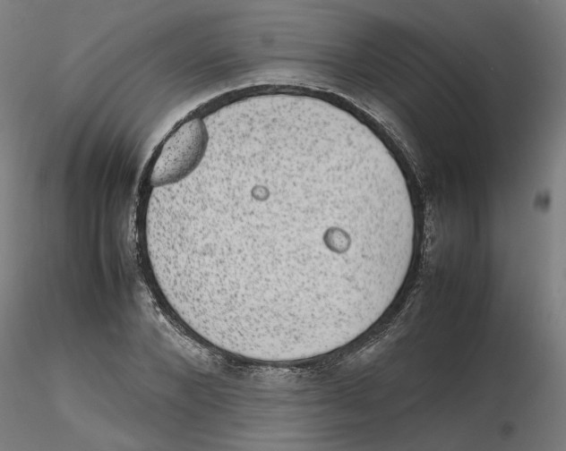 X0000116100880200912211609