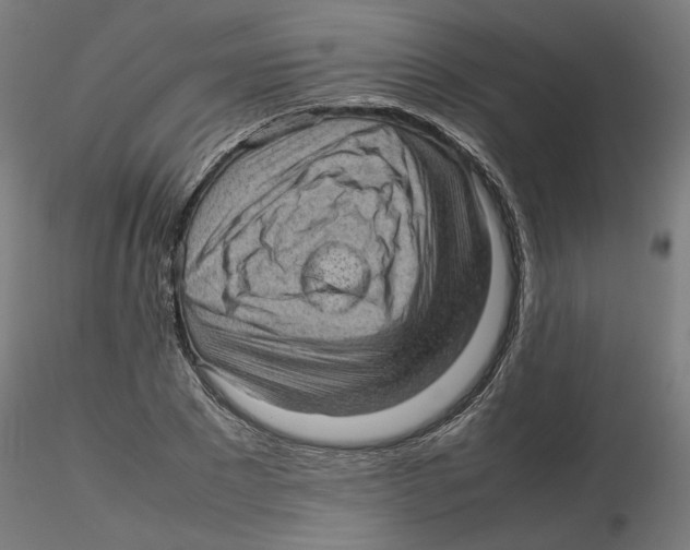 X0000116100881200912211609