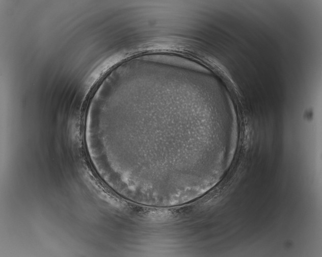 X0000116100882200912211609