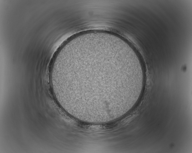 X0000116100883200912211609