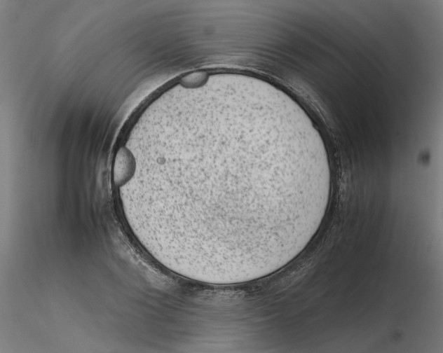 X0000116100884200912211609