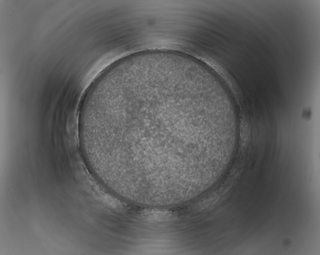 X0000116100886200912211609