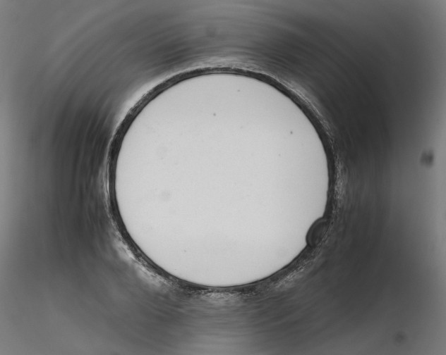 X0000116100888200912211609