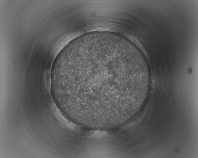 X0000116100890200912211609