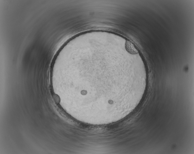 X0000116100891200912211609