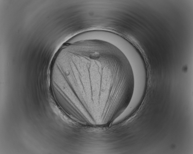 X0000116100892200912211609