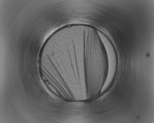 X0000116100893200912211609