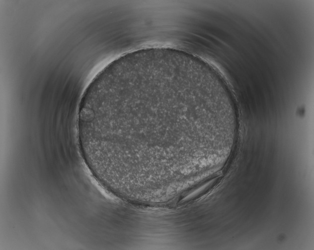 X0000116100894200912211609