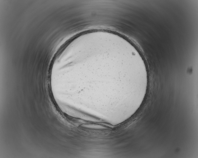 X0000116100895200912211609