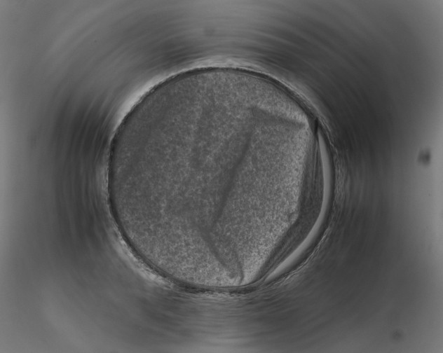 X0000116100896200912211609