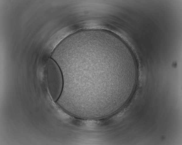 X0000116100897200912211609