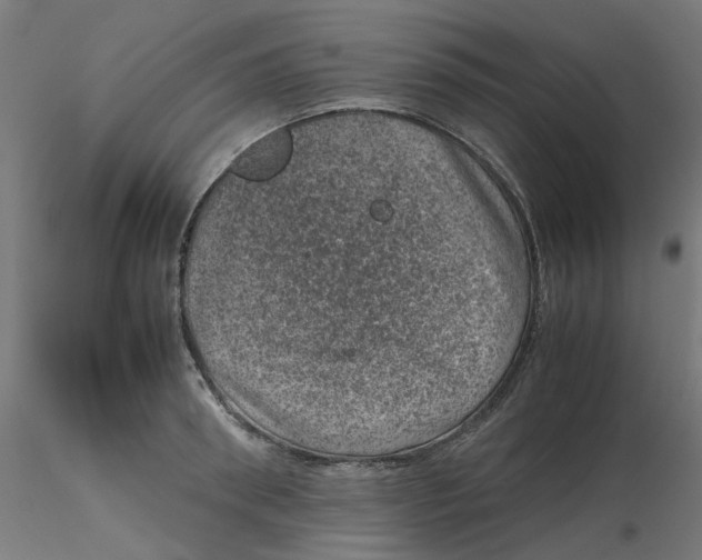 X0000116100898200912211609