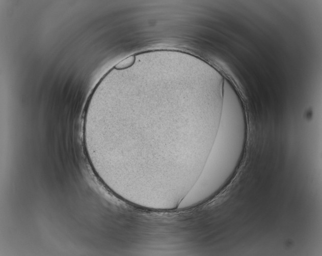 X0000116100900200912211609