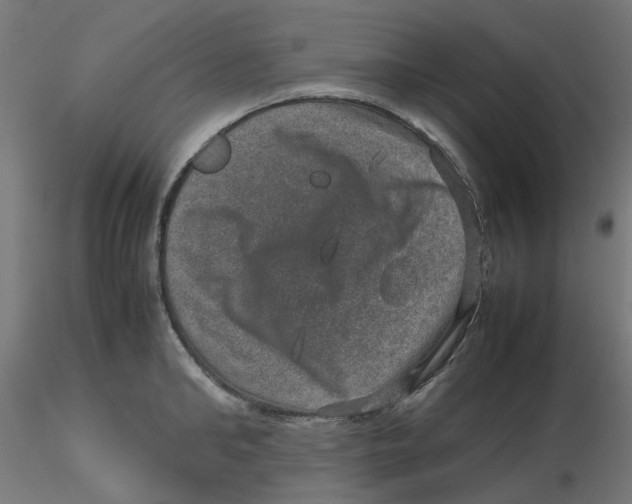 X0000116100902200912211609