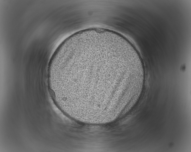 X0000116100903200912211609