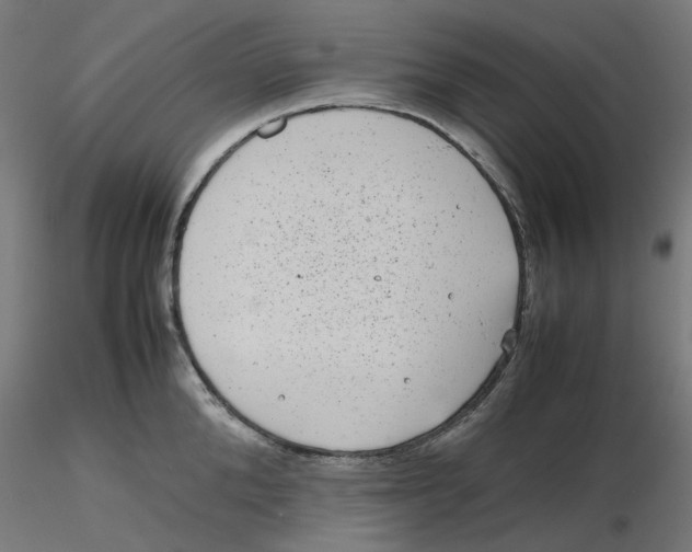 X0000116100904200912211609