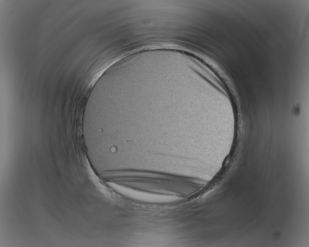 X0000116100905200912211609