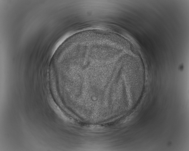 X0000116100907200912211609