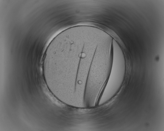 X0000116100908200912211609