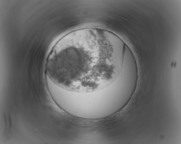 X0000116100912200912211609