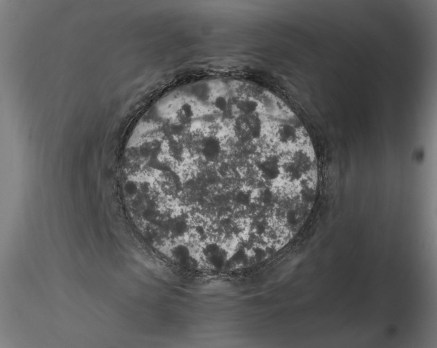 X0000116100913200912211608