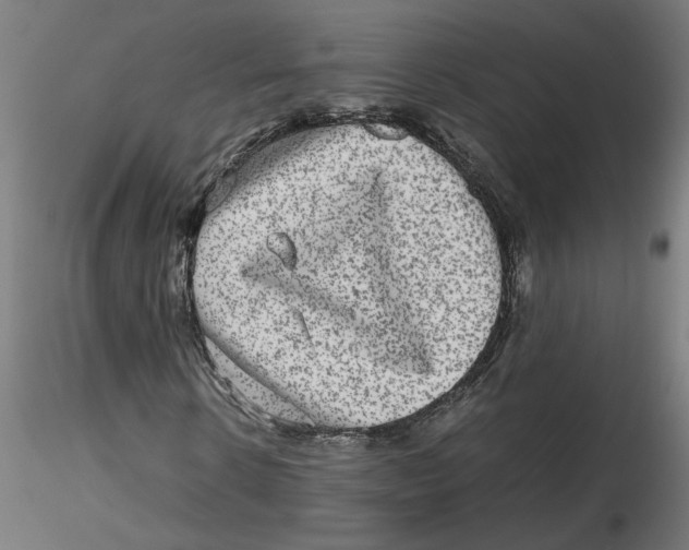 X0000116100914200912211608