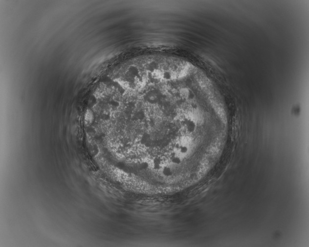 X0000116100917200912211608