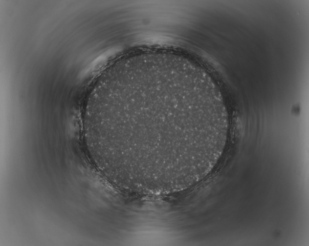 X0000116100918200912211608