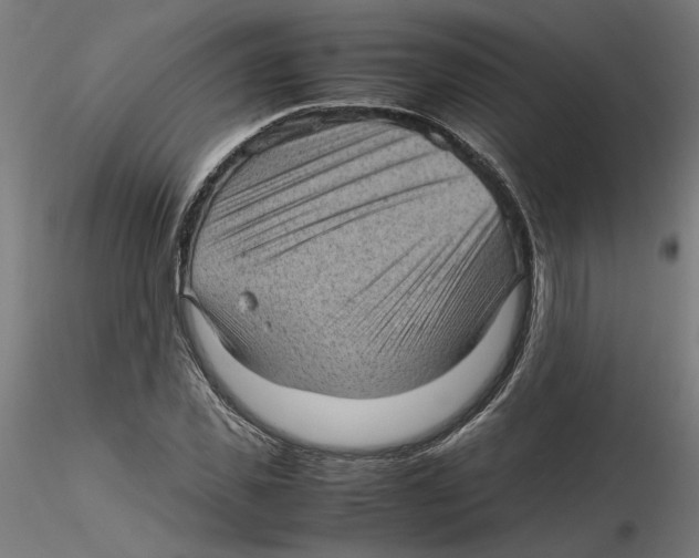 X0000116100925200912211608