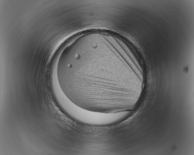 X0000116100926200912211608