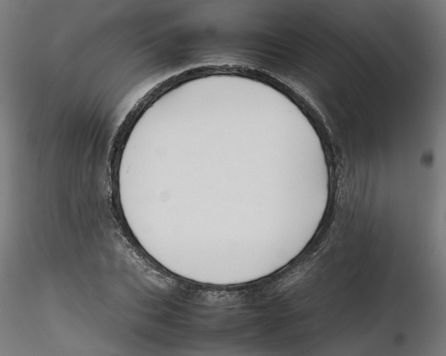 X0000116100927200912211608