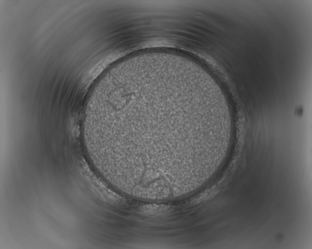 X0000116100929200912211608