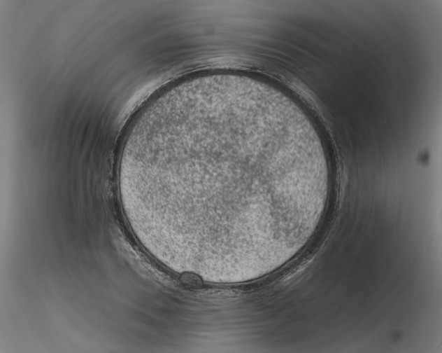 X0000116100930200912211608