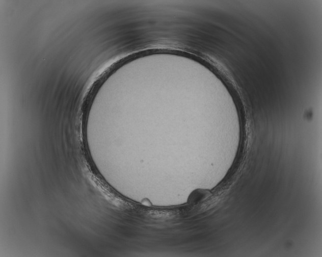 X0000116100931200912211608